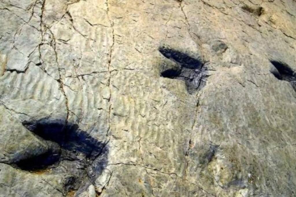 Casa: Mirador Del Valle Perdido. Enciso Εξωτερικό φωτογραφία
